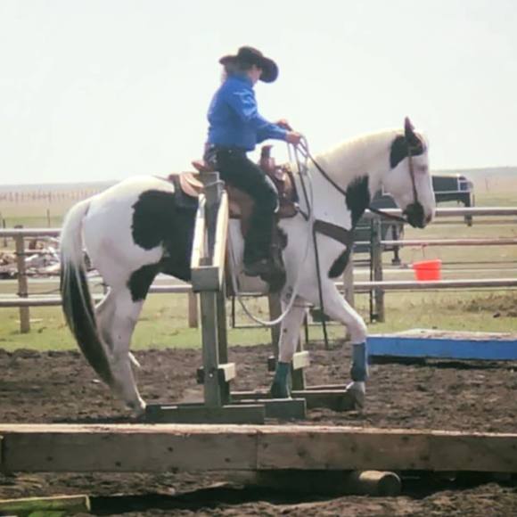 Meet your Posher, Bea - Picture 1 of 1